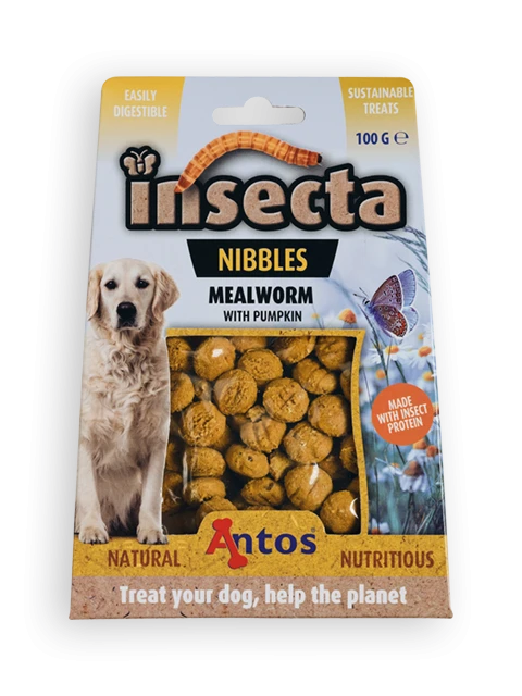 Insecta Nibbles Vers de Farine & Citrouille 100 gr