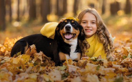 Des snacks d'inspiration automnale pour ton animal de compagnie